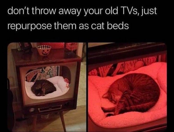 photo caption - don't throw away your old TVs, just repurpose them as cat beds
