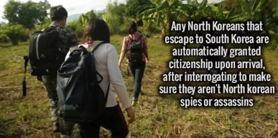 grass - Any North Koreans that escape to South Korea are automatically granted citizenship upon arrival, after interrogating to make sure they aren't North korean spies or assassins