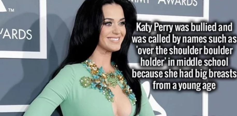 katy perry 2013 grammy awards - Tm Jards Katy Perry was bullied and was called by names such as over the shoulder boulder holder' in middle school because she had big breasts from a young age