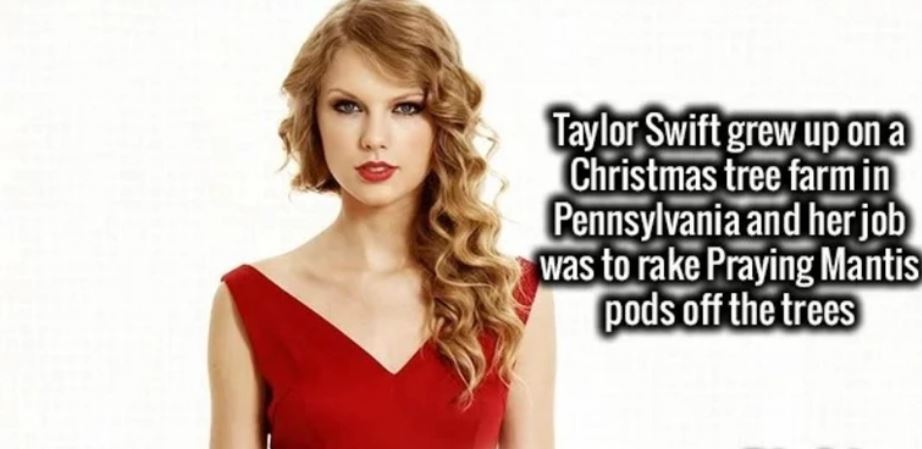 taylor swift red dress short - Taylor Swift grew up on a Christmas tree farmin Pennsylvania and her job was to rake Praying Mantis pods off the trees
