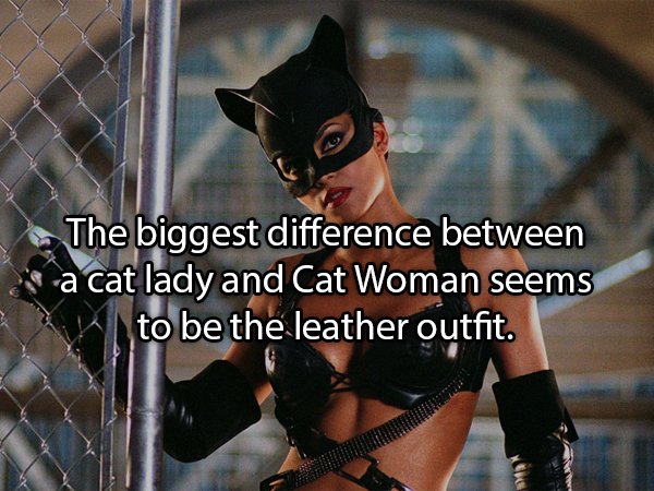 halle berry catwoman costume - The biggest difference between a cat lady and Cat Woman seems to be the leather outfit.