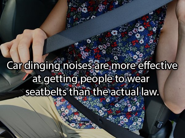 seat belt stuck - Car dinging noises are more effective at getting people to wear seatbelts than the actual law.