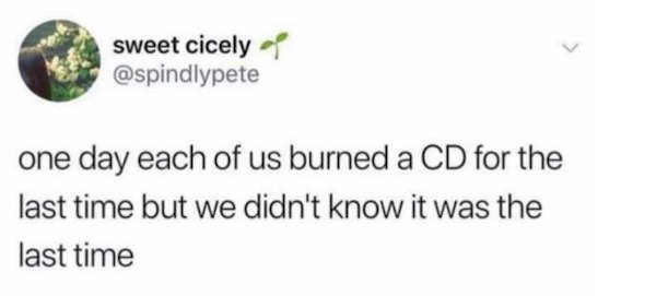 sweet cicely one day each of us burned a Cd for the last time but we didn't know it was the last time
