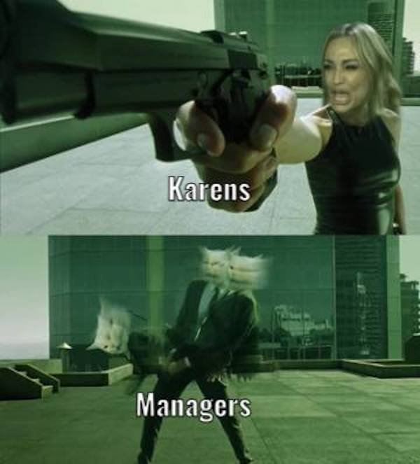 trinity matrix - Karens Managers