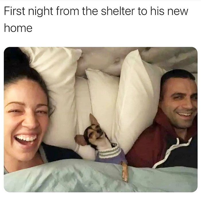 photo caption - First night from the shelter to his new home