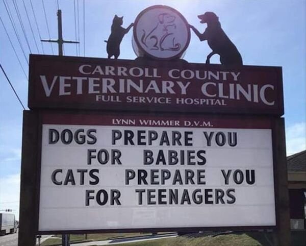 carroll county veterinary clinic signs - Carroll County Veterinary Clinic Full Service Hospital Lynn Wimmer D.V.M. Dogs Prepare You For Babies Cats Prepare You For Teenagers