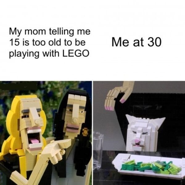 plastic - My mom telling me 15 is too old to be playing with Lego Me at 30