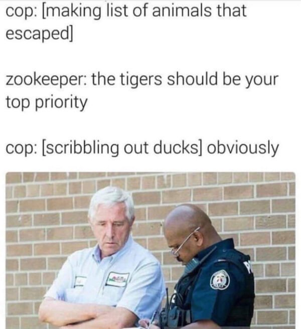 scribbles out ducks meme - cop making list of animals that escaped zookeeper the tigers should be your top priority cop scribbling out ducks obviously