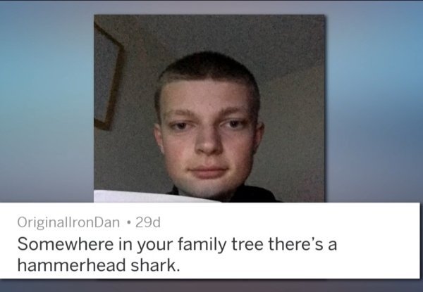 best roasts memes - OriginallronDan. 29d Somewhere in your family tree there's a hammerhead shark.
