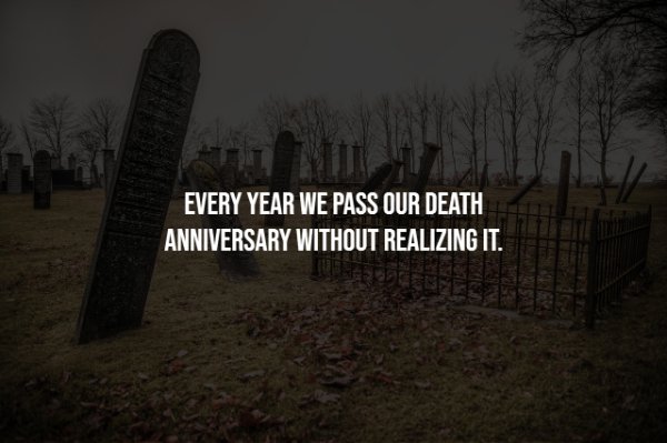 coaching quotes - Every Year We Pass Our Death Anniversary Without Realizing It.