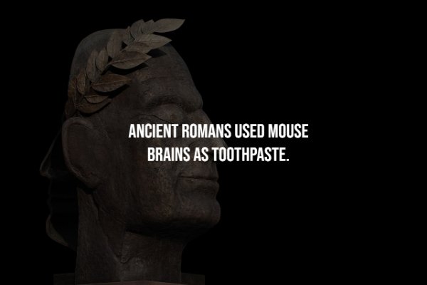 darkness - Ancient Romans Used Mouse Brains As Toothpaste.