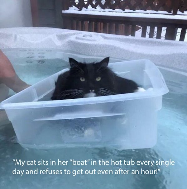 bathtub - "My cat sits in her "boat" in the hot tub every single day and refuses to get out even after an hour!"