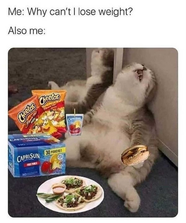 relatable memes funny cat memes - Cheetos Cheetos Me Why can't I lose weight? Also me any Caprisun 30 Pouchli No