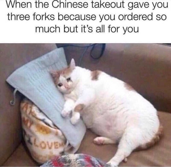 crying cat meme - When the Chinese takeout gave you three forks because you ordered so much but it's all for you Love