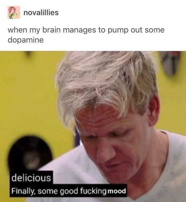 delicious meme - novalillies when my brain manages to pump out some dopamine delicious Finally, some good fucking mood