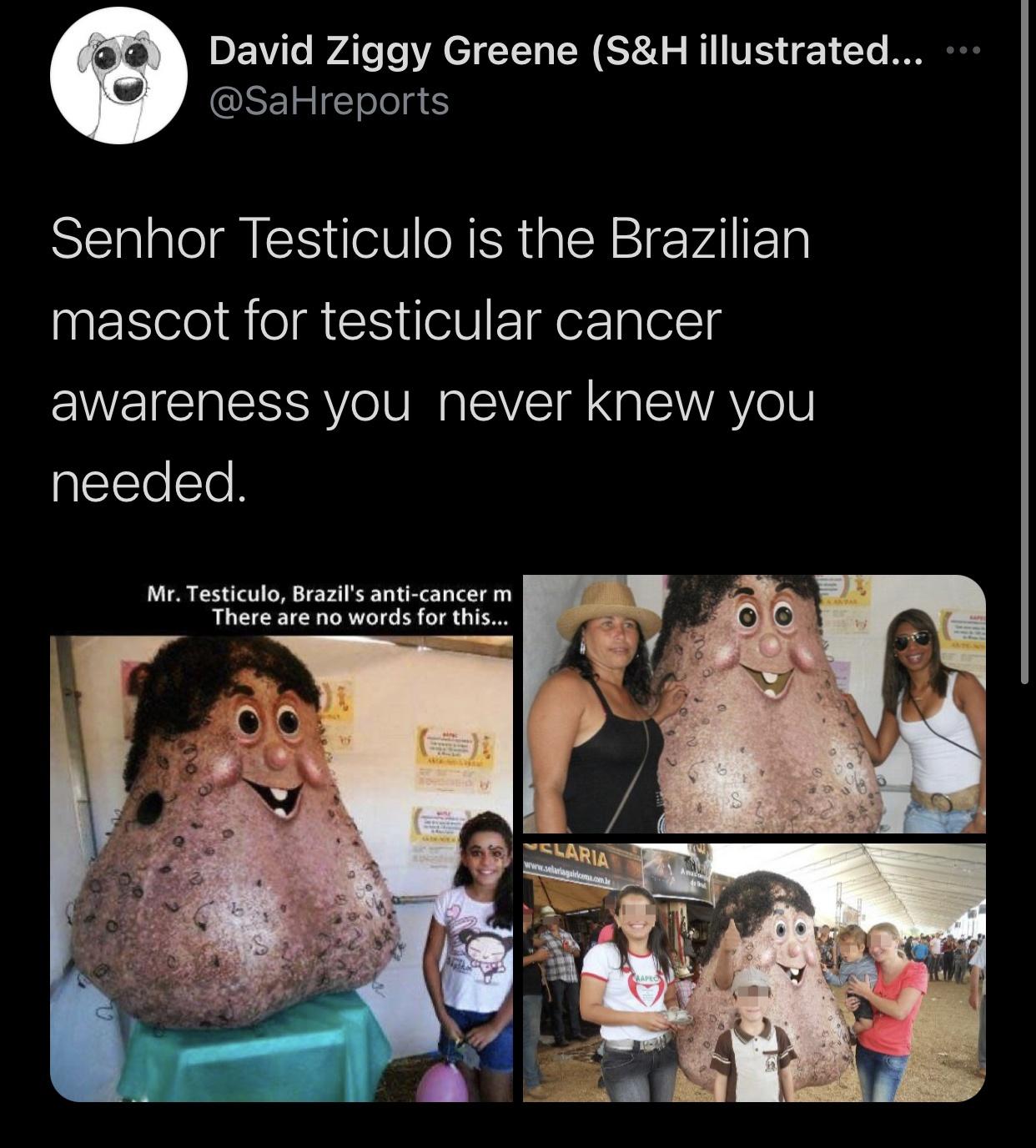 head - David Ziggy Greene S&H illustrated... Senhor Testiculo is the Brazilian mascot for testicular cancer awareness you never knew you needed. Mr. Testiculo, Brazil's anticancer m There are no words for this... Slaria Chaped