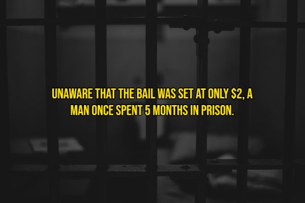 Prison - Unaware That The Bail Was Set At Only $2, A Man Once Spent 5 Months In Prison.