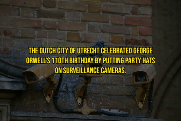 The Dutch City Of Utrecht Celebrated George Orwell'S 110TH Birthday By Putting Party Hats On Surveillance Cameras.