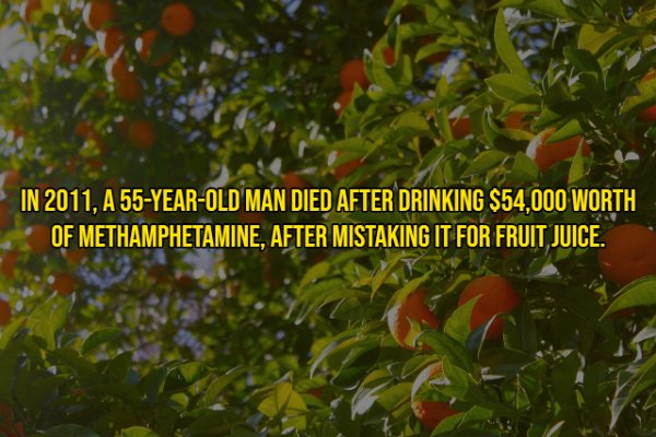 In 2011, A 55YearOld Man Died After Drinking $54,000 Worth Of Methamphetamine, After Mistaking It For Fruit Juice.