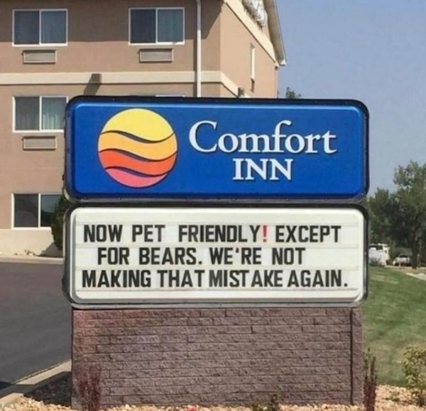 now pet friendly except for bears - Comfort Inn Now Pet Friendly! Except For Bears. We'Re Not Making That Mistake Again.