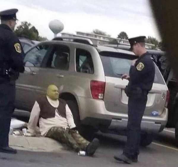 shrek arrested meme