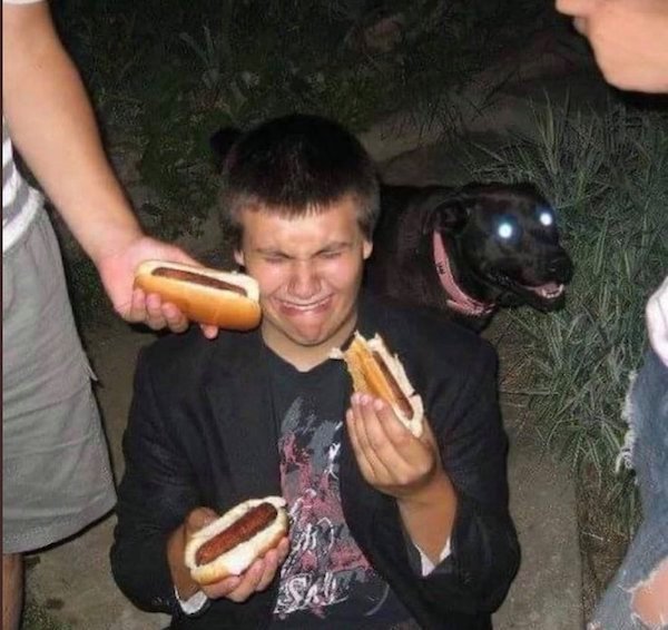 cursed images dog hotdog