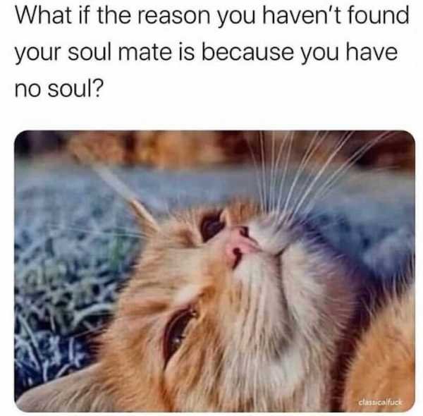 if the reason you haven t found your soulmate - What if the reason you haven't found your soul mate is because you have no soul? classicalfuck