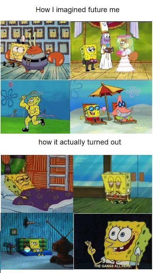 spongebob memes about life - How I imagined future me Lll 00 how it actually turned out The Gangs All Here