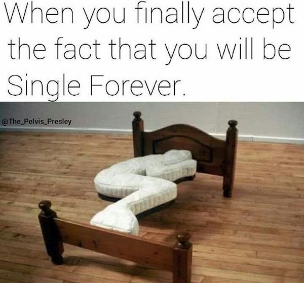 funny single forever meme - When you finally accept the fact that you will be Single Forever Presley