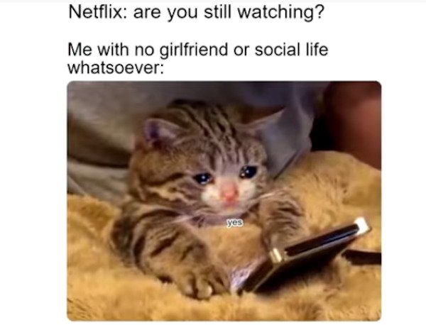 Netflix are you still watching? Me with no girlfriend or social life whatsoever yes