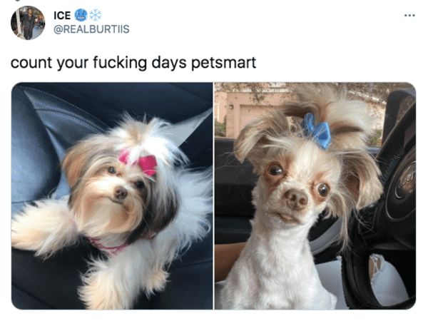 21 Funny Tweets You Need To Read.