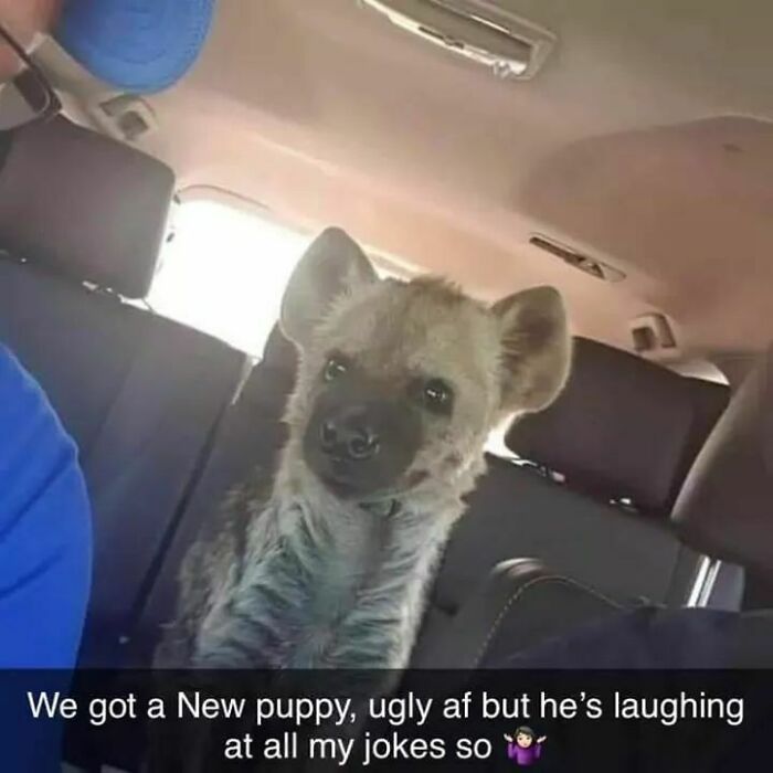 funny posts - We got a New puppy, ugly af but he's laughing at all my jokes so