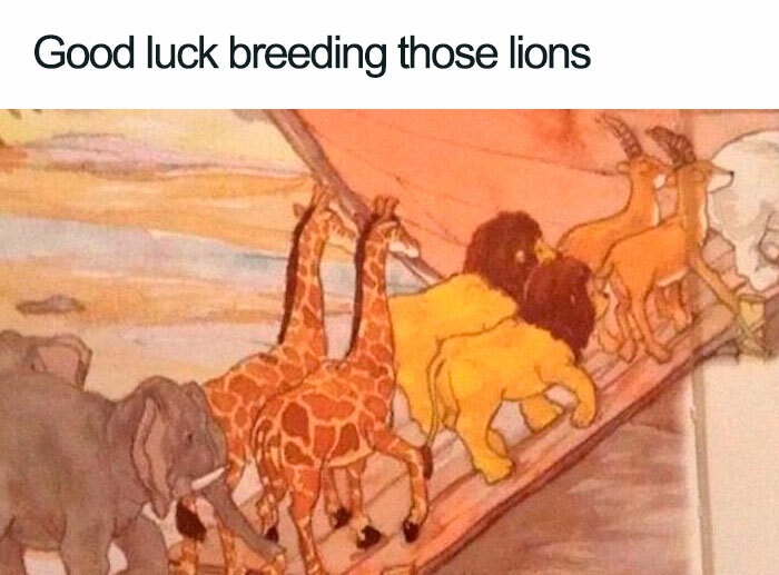 funny posts - Good luck breeding those lions