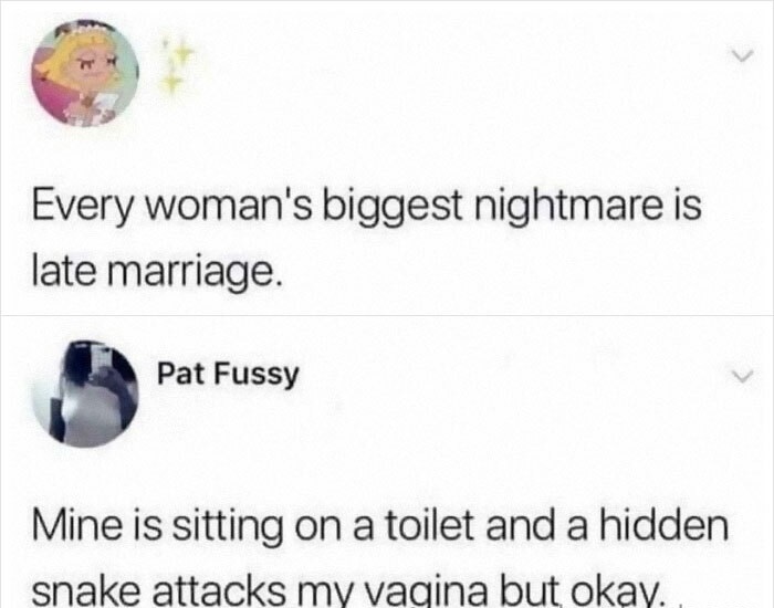 funny posts - Every woman's biggest nightmare is late marriage. - Mine is sitting on a toilet and a hidden snake attacks my vagina but okay.