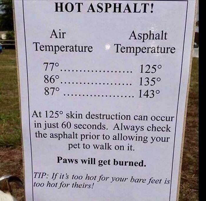 Remember This When Walking Your Pets