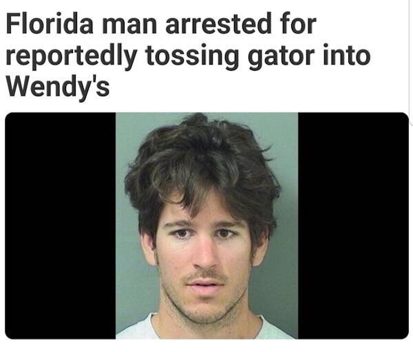 head - Florida man arrested for reportedly tossing gator into Wendy's