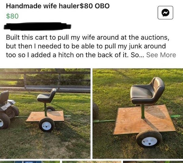 lawn - Handmade wife hauler$80 Obo $80 Built this cart to pull my wife around at the auctions, but then I needed to be able to pull my junk around too so I added a hitch on the back of it. So... See More Cette