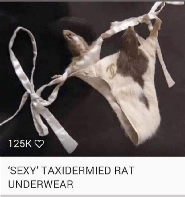 cursed underwear - 'Sexy' Taxidermied Rat Underwear