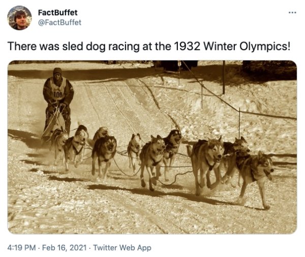 Dog sled - FactBuffet There was sled dog racing at the 1932 Winter Olympics! 100 . . Twitter Web App