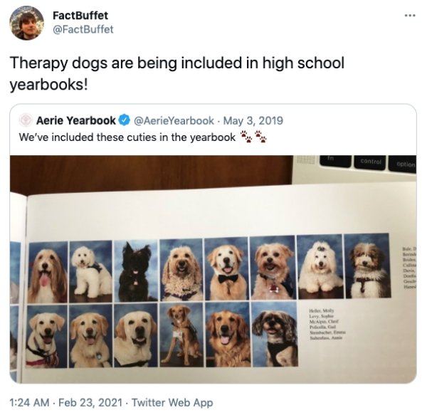 . FactBuffet Therapy dogs are being included in high school yearbooks! Aerie Yearbook We've included these cuties in the yearbook control option Di H. Ma . . Twitter Web App