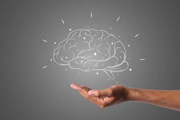 Whenever you touch something, you’re sending a message to your brain at a whopping 124 mph.