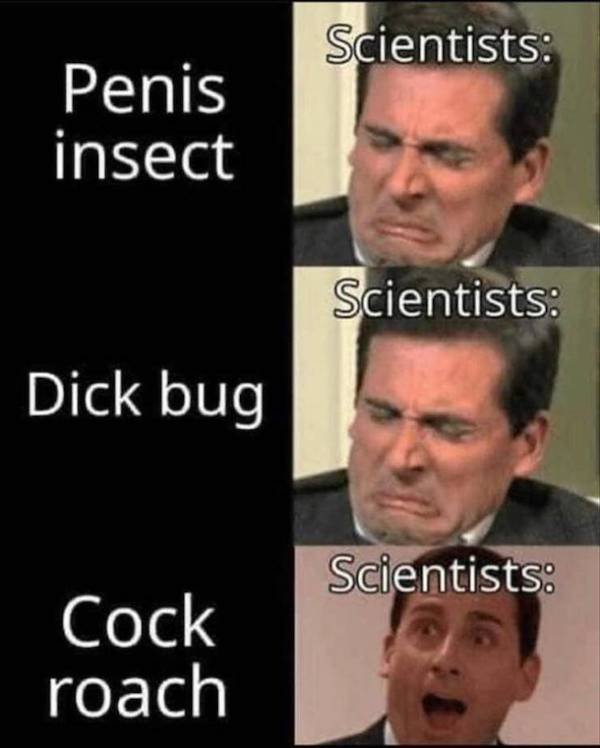 scientist naming cockroach meme - Scientists Penis insect Scientists Dick bug Scientists Cock roach