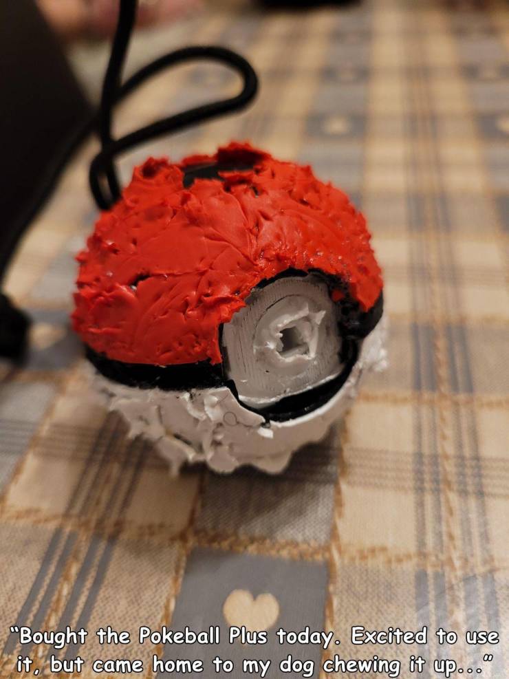 dessert - "Bought the Pokeball Plus today. Excited to use it, but came home to my dog chewing it up..."