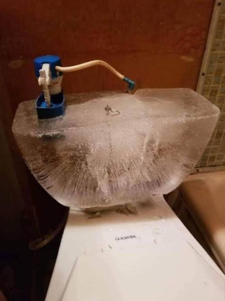 toilet froze