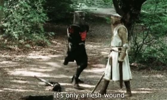 progress reports due meme - It's only a flesh wound