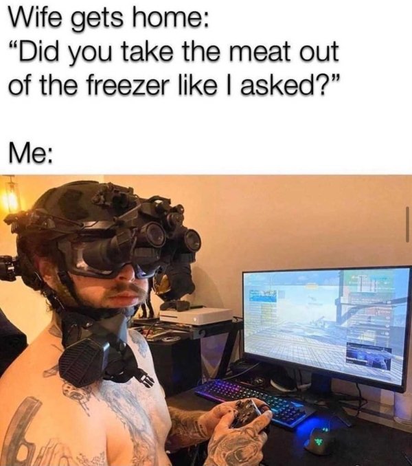 post malone gaming - Wife gets home "Did you take the meat out of the freezer I asked?" Me