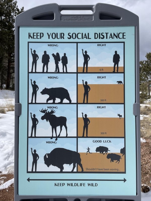 social distancing bison - Window Way Keep Your Social Distance Wrong Right 6 ft Wrong Right 300 ft Wrong Right 300 ft Wrong Good Luck Shouldn't have been waving... Keep Wildlife Wild