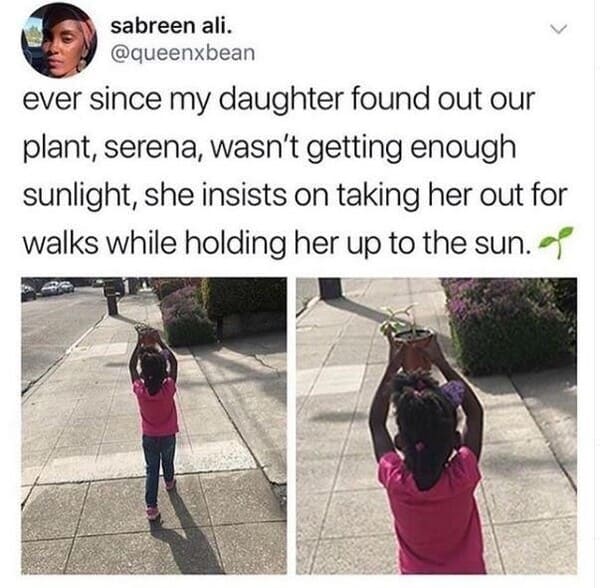 photo caption - sabreen ali. ever since my daughter found out our plant, serena, wasn't getting enough sunlight, she insists on taking her out for walks while holding her up to the sun.ae