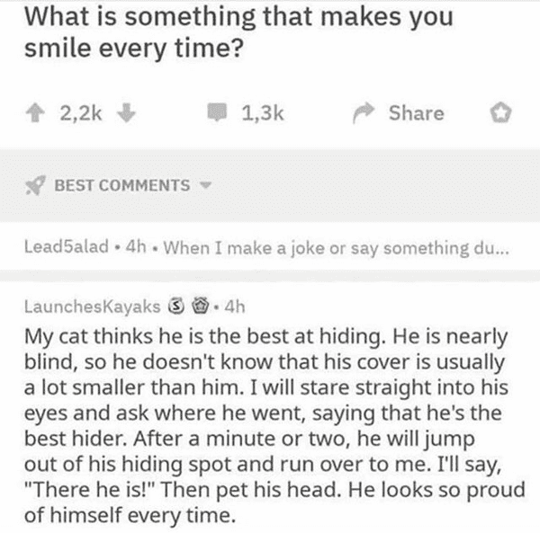 Joke - What is something that makes you smile every time? Best LeadSalad . 4h. When I make a joke or say something du... Launcheskayaks S.4h My cat thinks he is the best at hiding. He is nearly blind, so he doesn't know that his cover is usually a lot sma