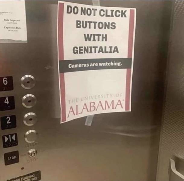 do not click buttons with genitalia - Do Not Click Buttons With Genitalia Cameras are watching. 6 4 The University Of Alabama N Stop Lason